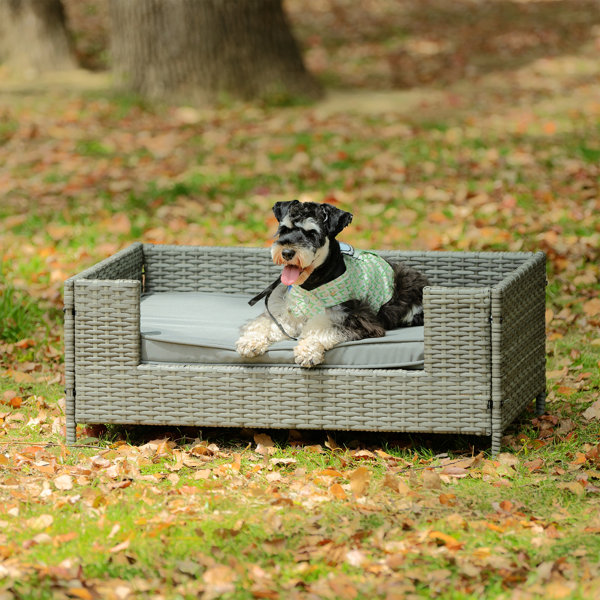 Dog sales garden furniture